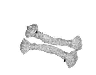 IMPA手冊 編號211411丙綸雙股細繩(圖1)