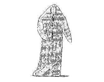 IMPA手冊 編號330176防寒防水救生服(圖1)