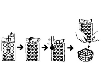 IMPA手冊 編號171378制冰袋(圖1) IMPA手冊 編號171378制冰袋(圖1)