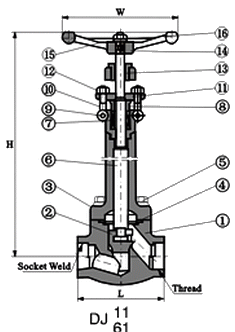 DJ11Y螺紋低溫截止閥外形結構圖 DJ11Y螺紋低溫截止閥(圖1)